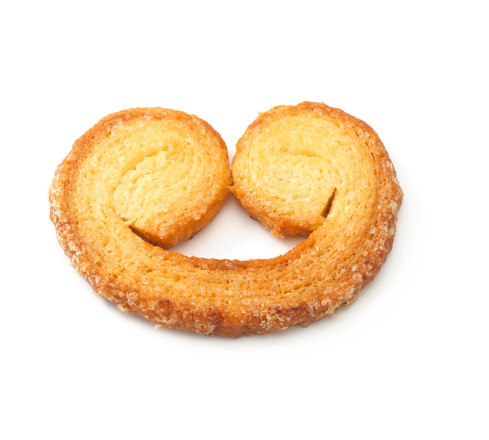 Mini Palmier